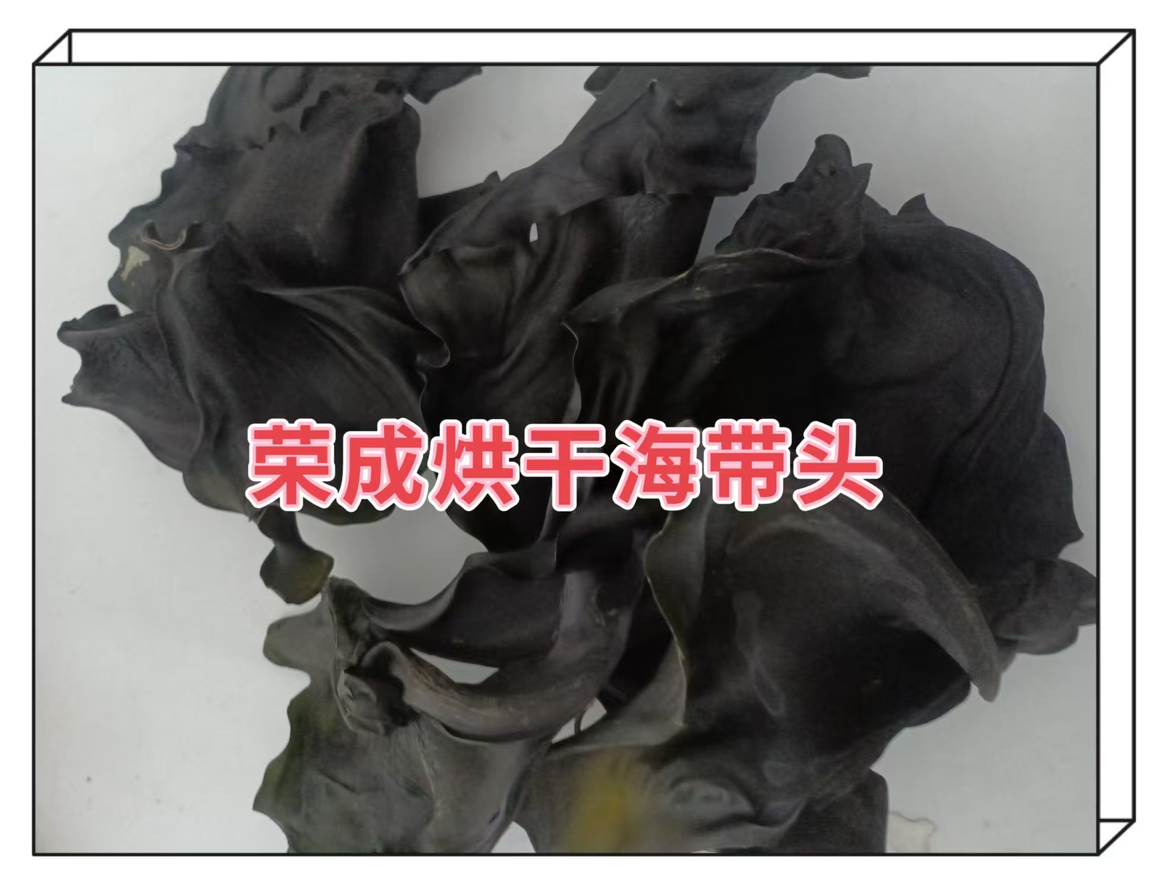 【张书记专属】山东荣成烘干海带头  （11~13倍泡发率） 