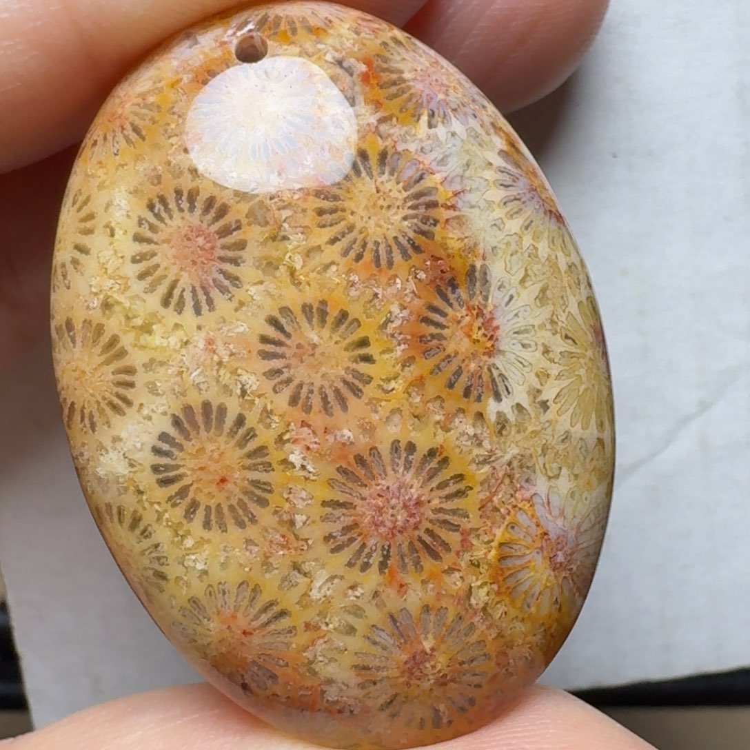 硅化玉彩色雏菊花，可盘未镶嵌