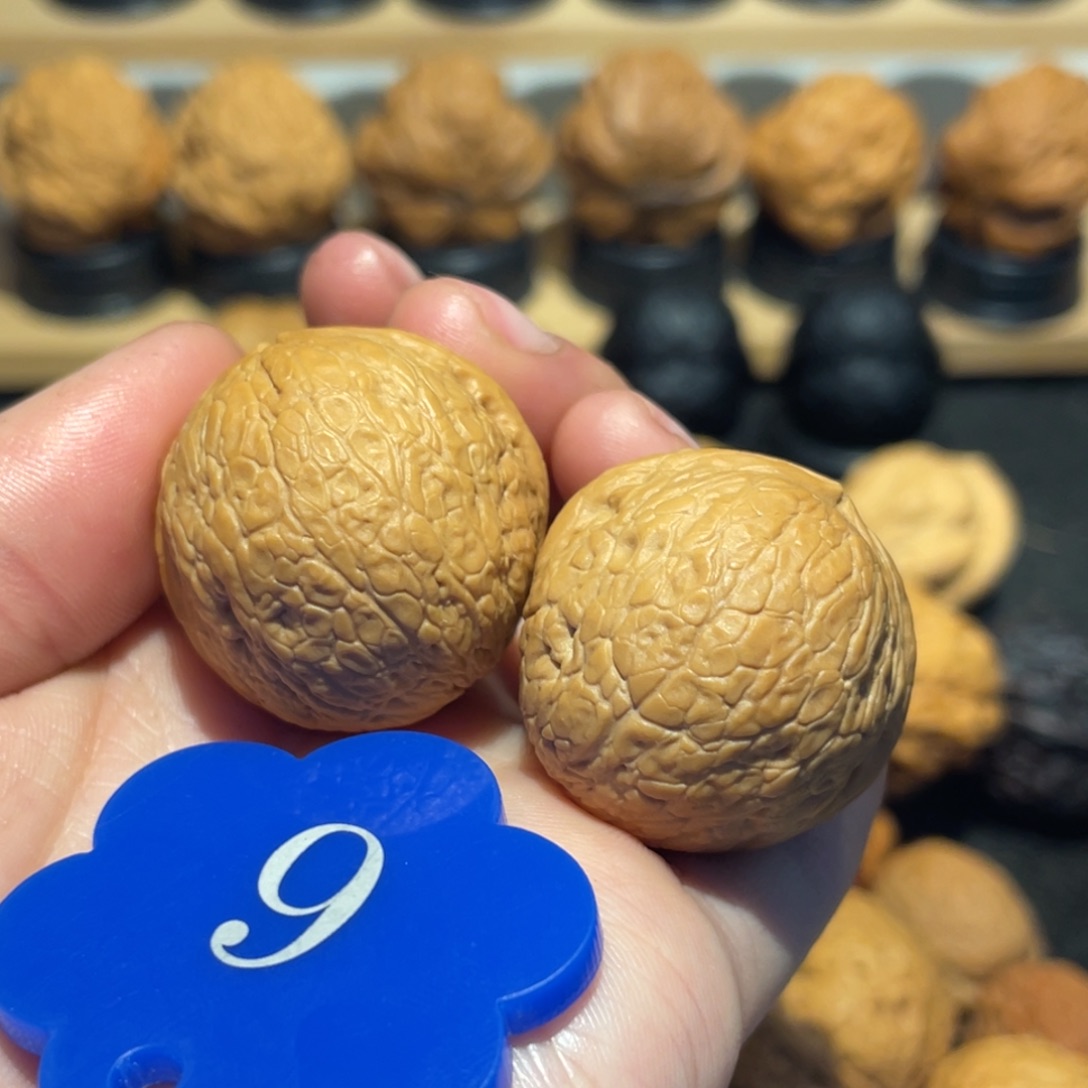 特色猫耳朵蛇皮球31。   