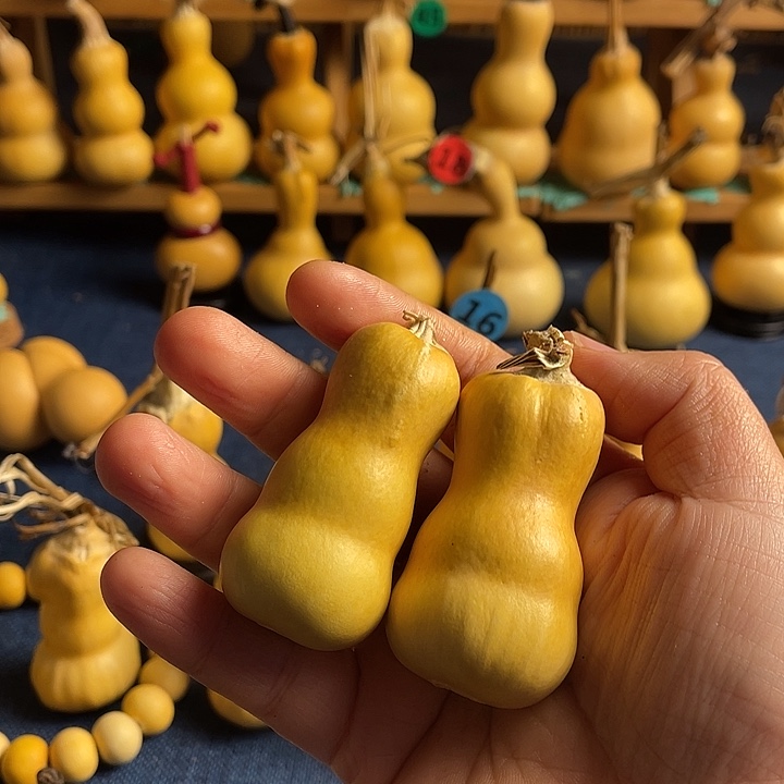 地***产11111111111111111111111111