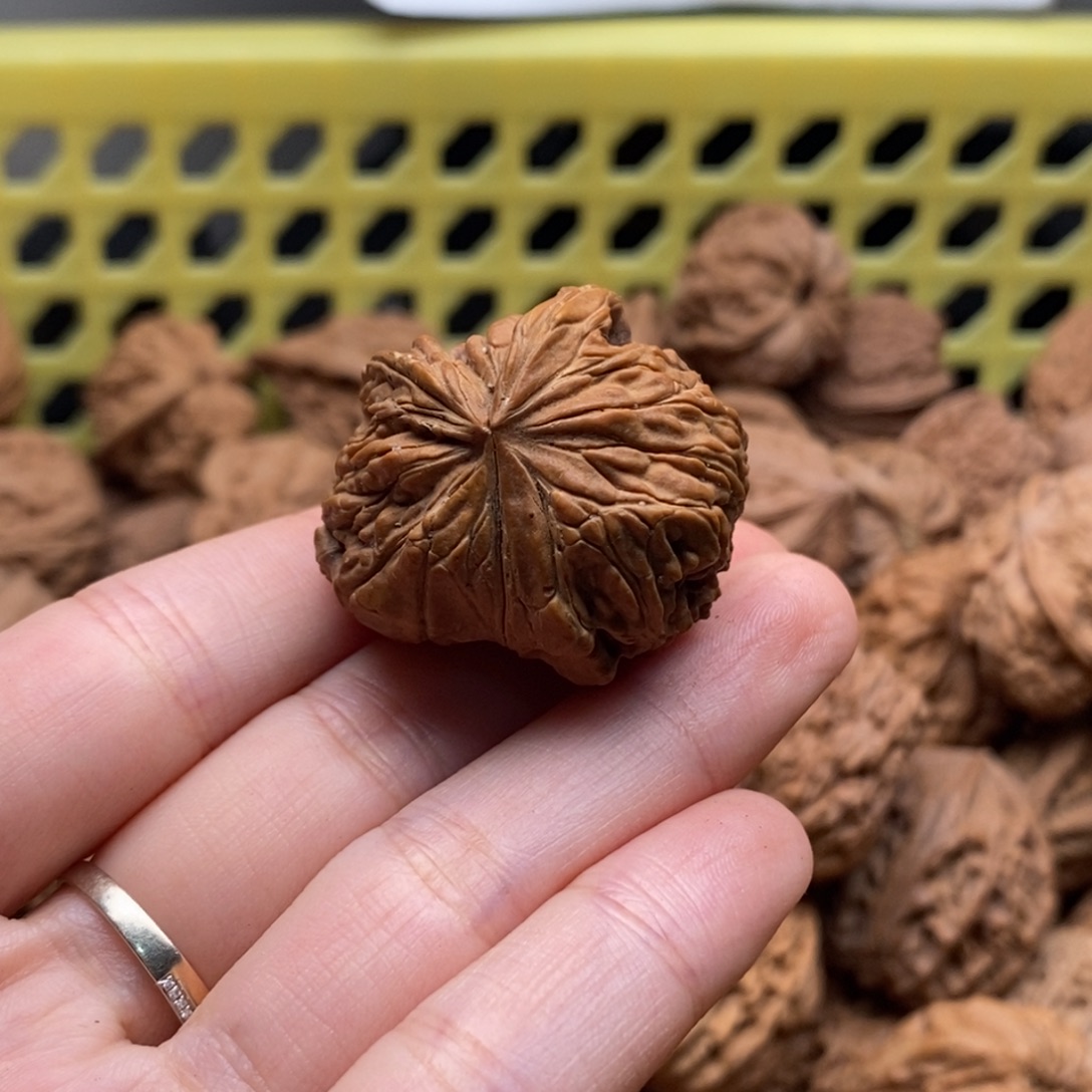 江***2核桃定制商品不退不换