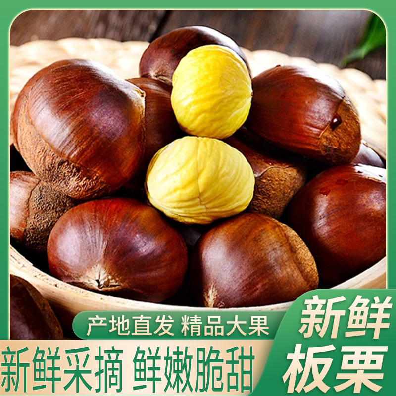云南高山老树新鲜板栗香甜脆口内皮好剥坏果包赔