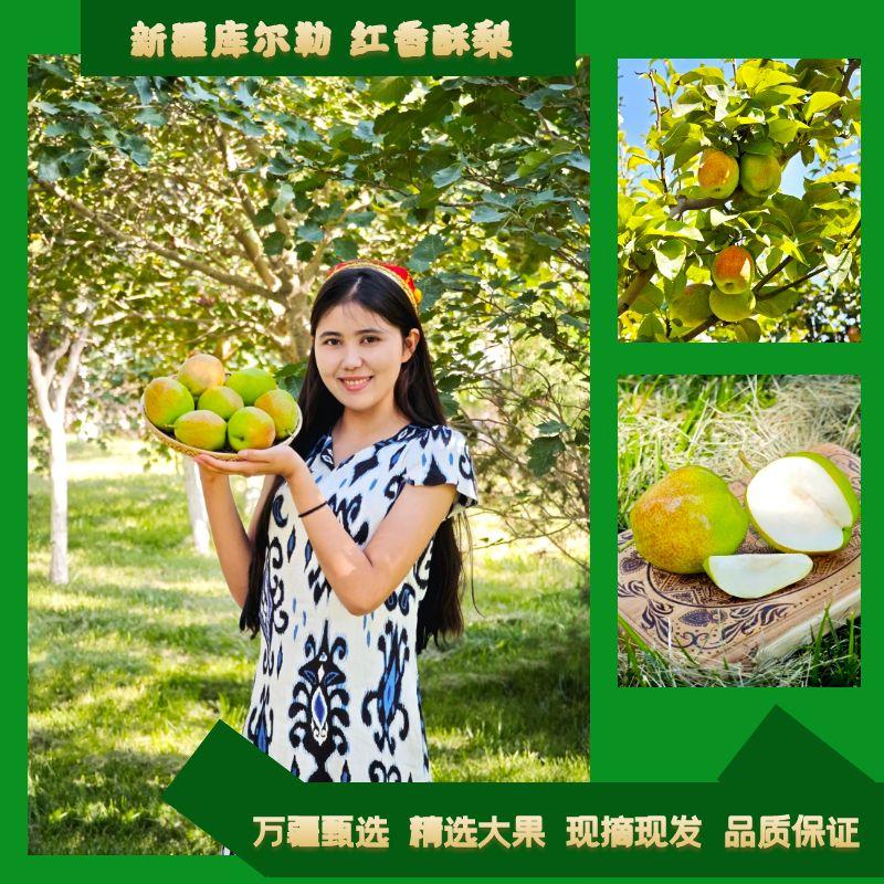 香梨正宗新疆库尔勒红香酥香梨 脆甜皮薄红香酥 现摘现发新鲜送达