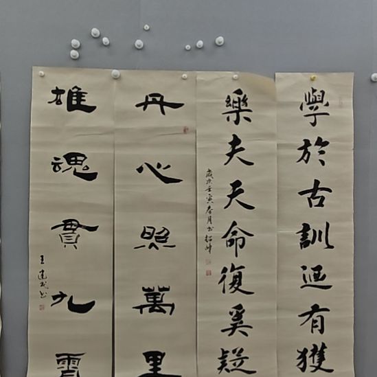 陈超峰院长精品书法