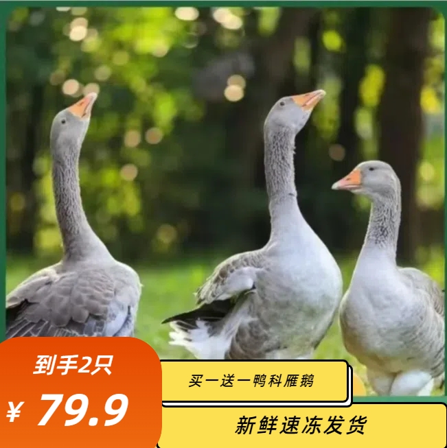 【顺丰很快】买1送1大雁鹅2只毛重12斤带翅膀腿除舌头珍宰杀后8-9斤