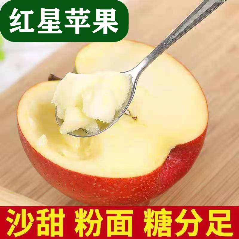 果中邢红星苹果红香蕉粉面平果宝宝非脆甜红富士冰糖心丑秦冠整箱