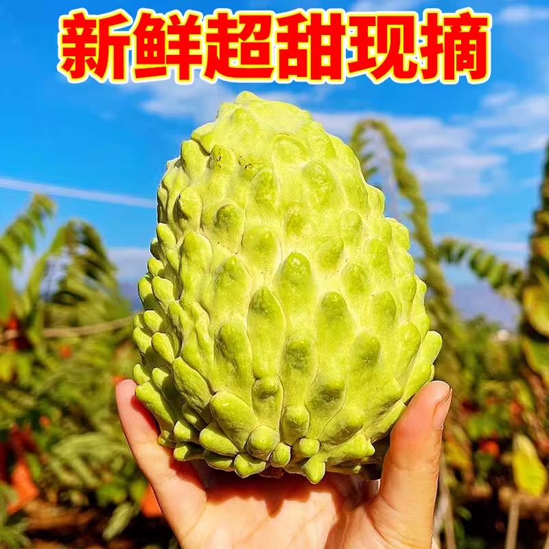 【新鲜释迦果】凤梨牛奶释迦果大目释迦佛头果冰淇淋特大果现摘