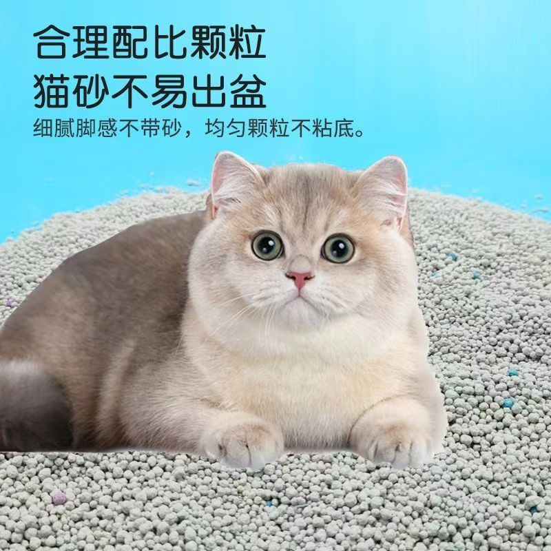 细腻猫砂 均匀颗粒 