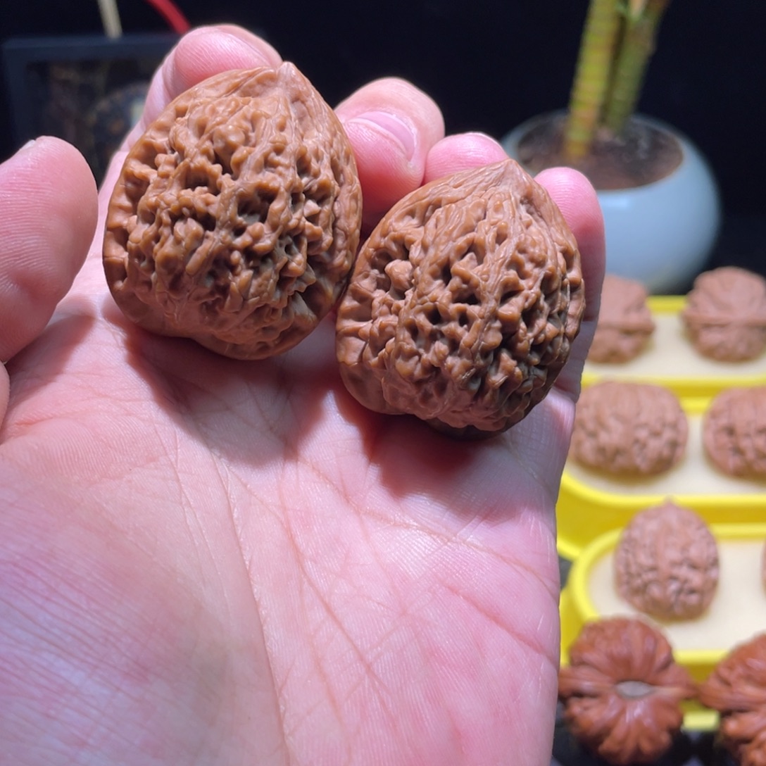 把件文玩核桃36全品满肉红皮老款小众蚂蚁王