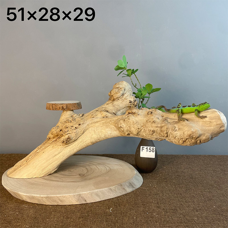 守宫爬宠攀爬架实木晒台雨林箱造景蛇蜥蜴根艺蛇角蛙躲避宠物用品