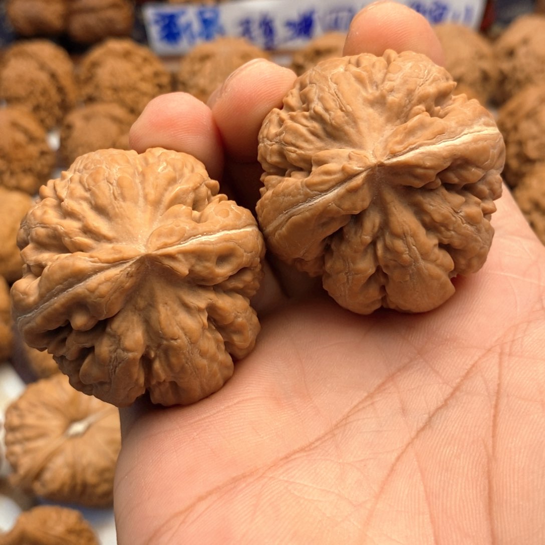 【闪购商品】文玩核桃把件@***！43尺 全品霸王龙 11