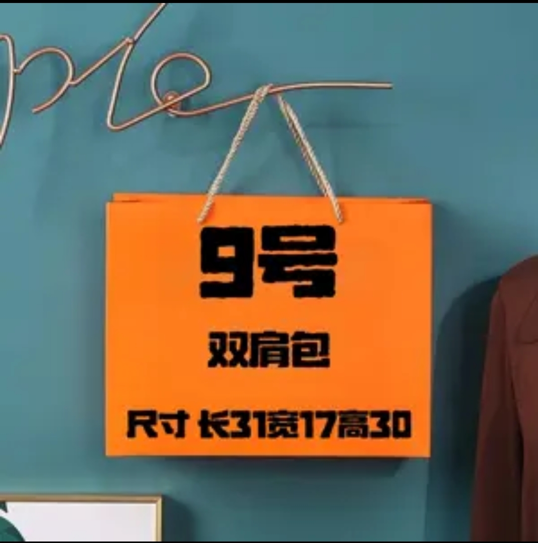 【A9号】AA 2025爆款轻奢时尚百搭双肩包A307-2