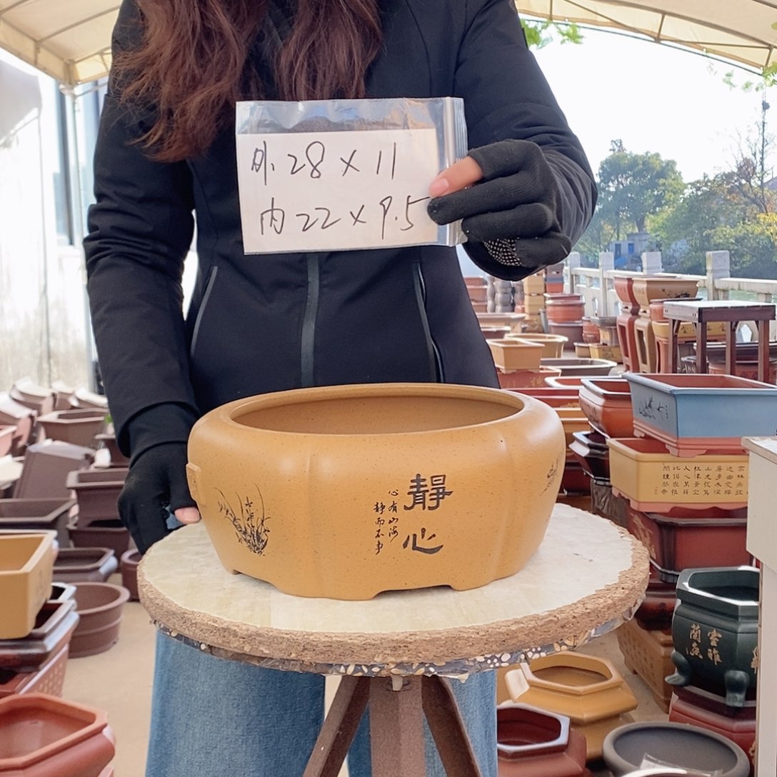 紫砂花盆紫砂花盆