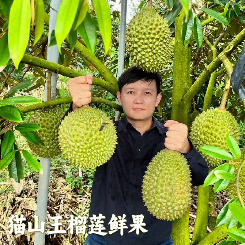 【鲜果现货】猫山王榴莲鲜果D197当季新鲜顺丰包邮