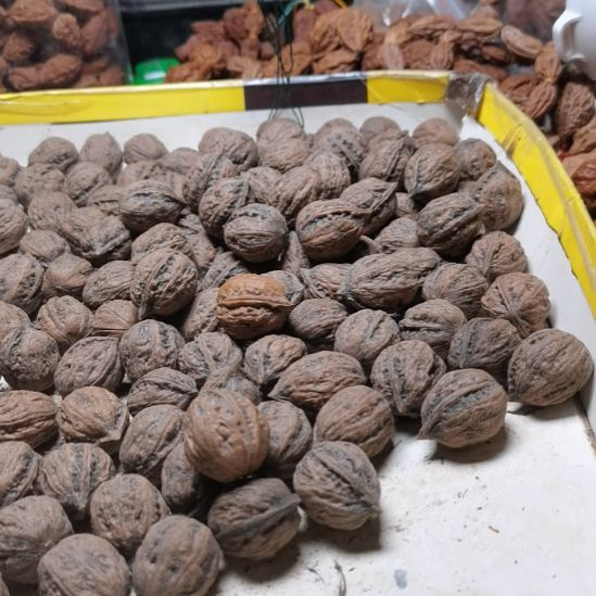 用***成文玩核桃吊坠东北楸异形籽小核桃21