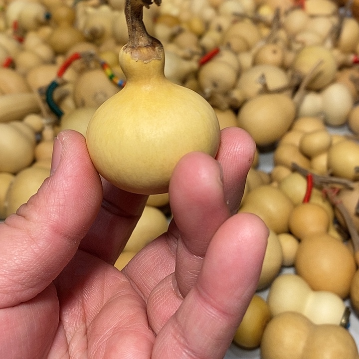 k****叮精品葫芦手把葫芦41