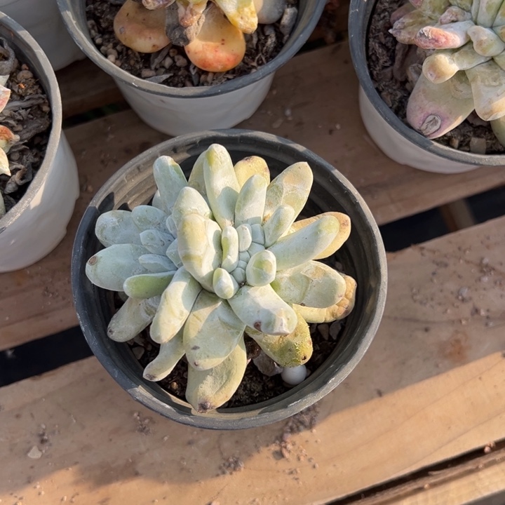 478哈哈哈哈哈哈哈哈哈