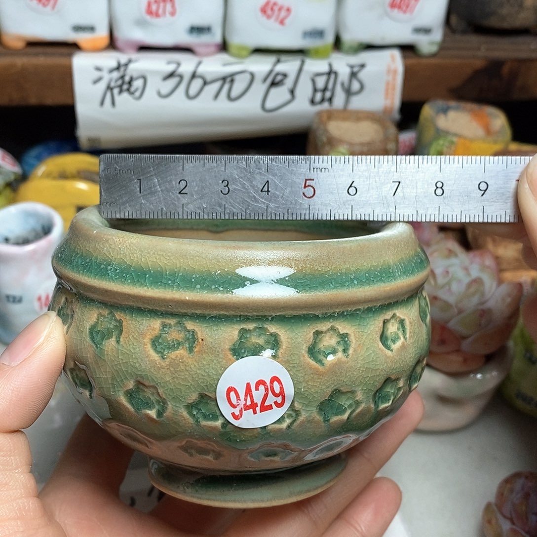 红陶拍5送一个小