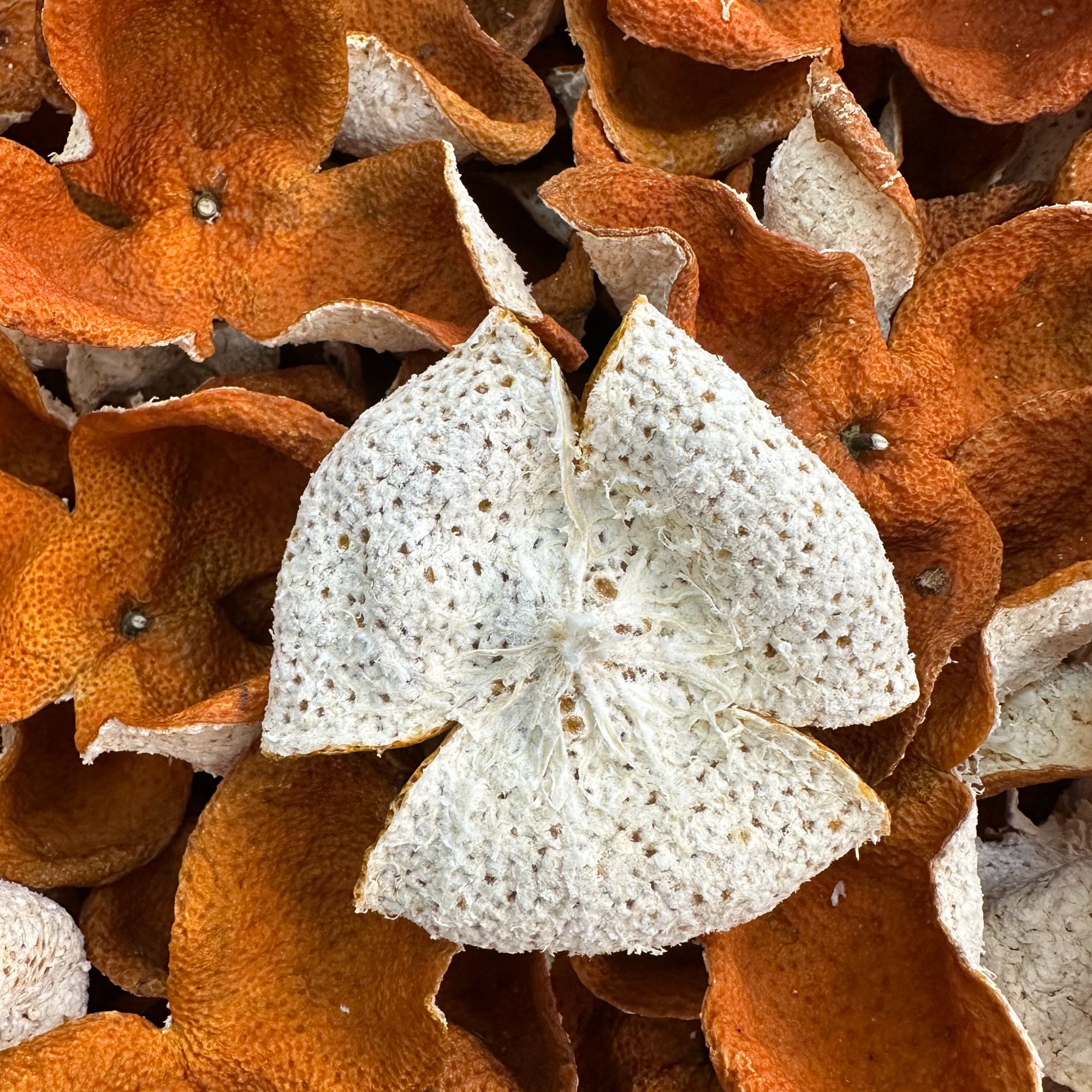  臻藏2025年东甲大红老树圈枝冬后大红皮天然生晒花蜜香醇厚