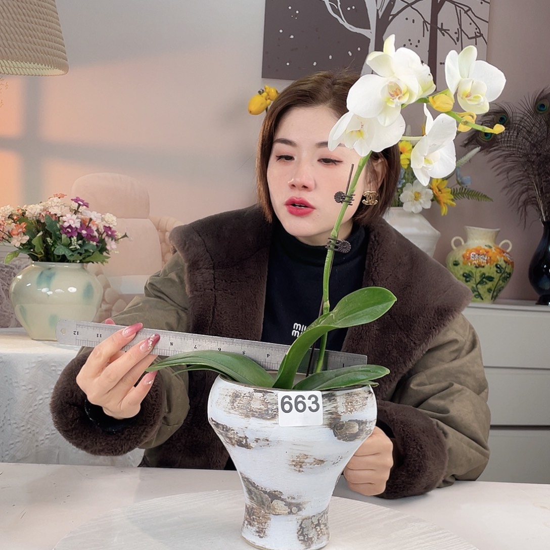 摆件663 景德镇陶瓷艺术精品