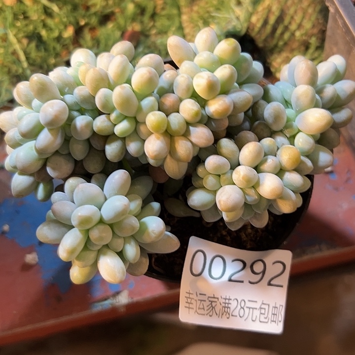 幸运的是我还没遇到