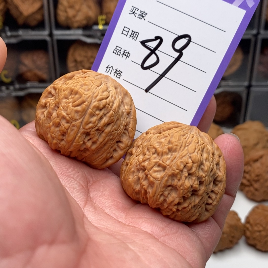 41全品泥鳅背狮子头