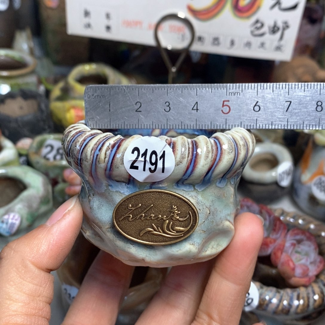 特价花盆拍5送一个小礼物