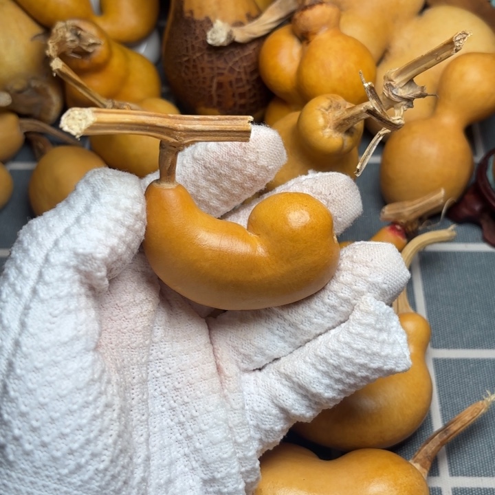 一***喵葫芦风裂6666666666