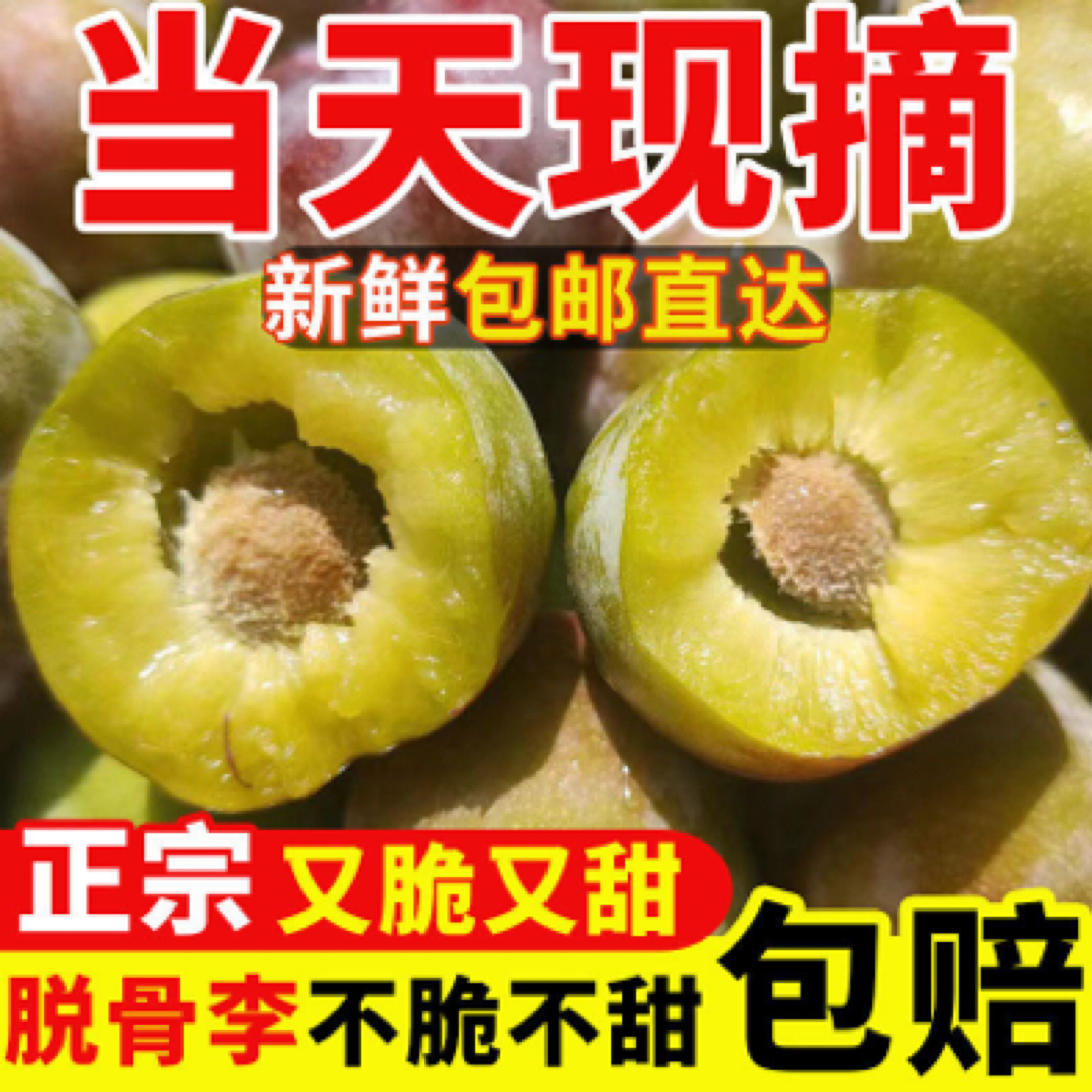 野乡记正宗四川脱骨李半边红茵红李五月脆李新鲜应季水果脆甜李