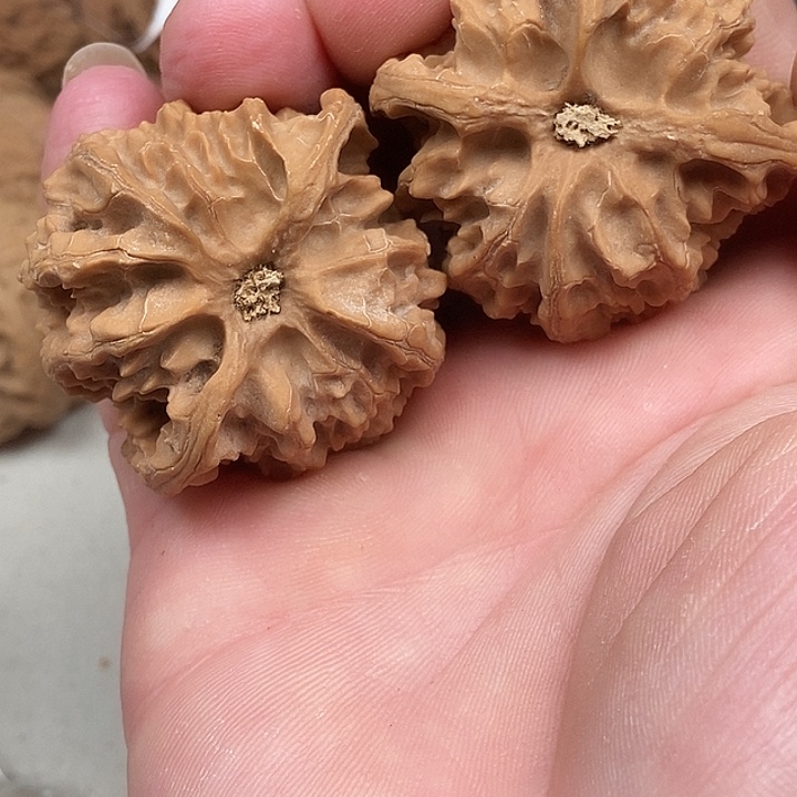 哈***笑把件文玩核桃504,504