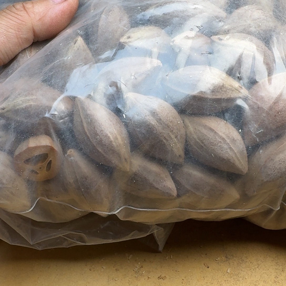 信***着橄榄核手串/手链1