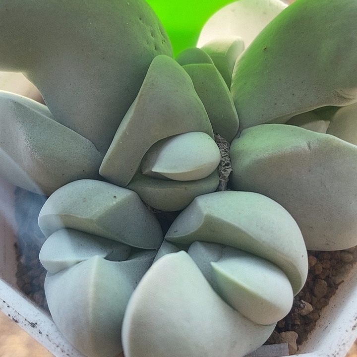 在一起是很快乐了呀嘻嘻5028