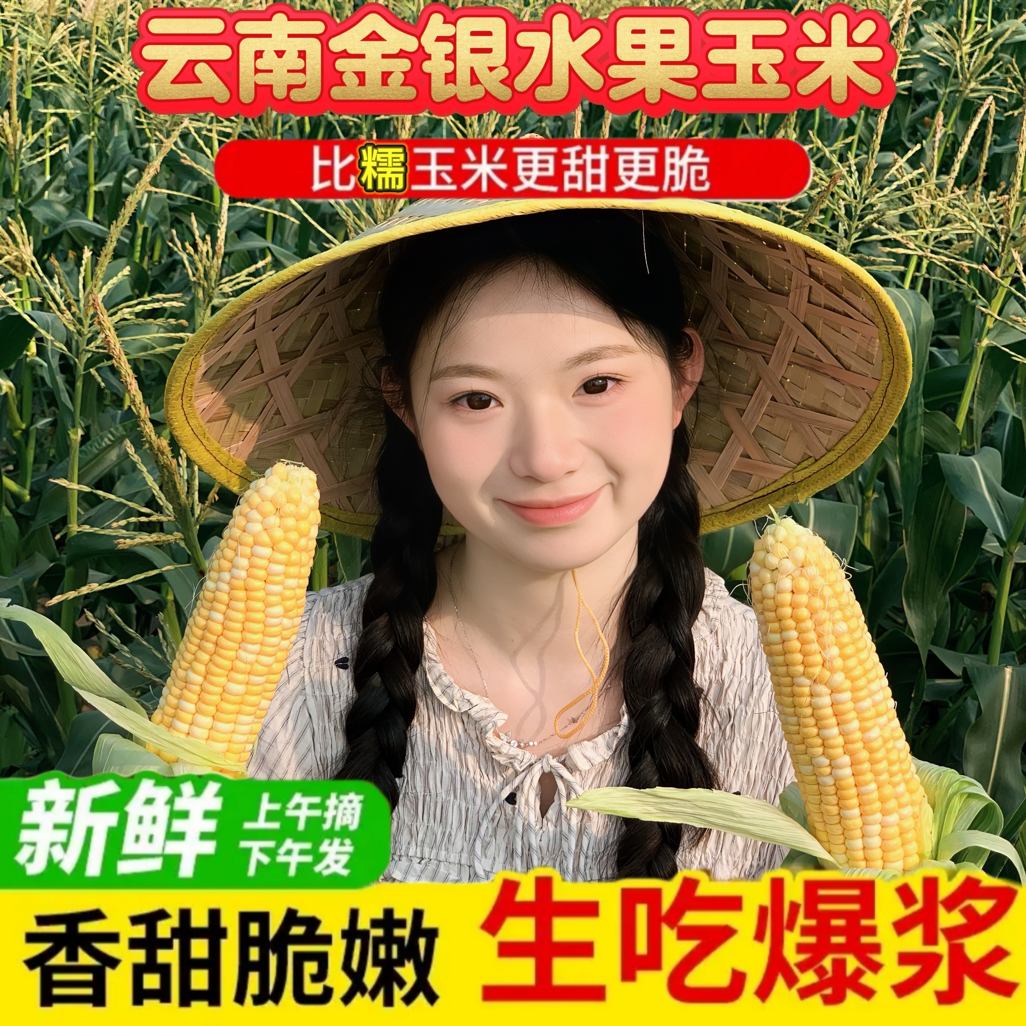 次日达-爆浆水果玉米云南精品2斤/5斤新鲜爆汁脆嫩颗粒饱满【单根7两起】金银玉米云南省