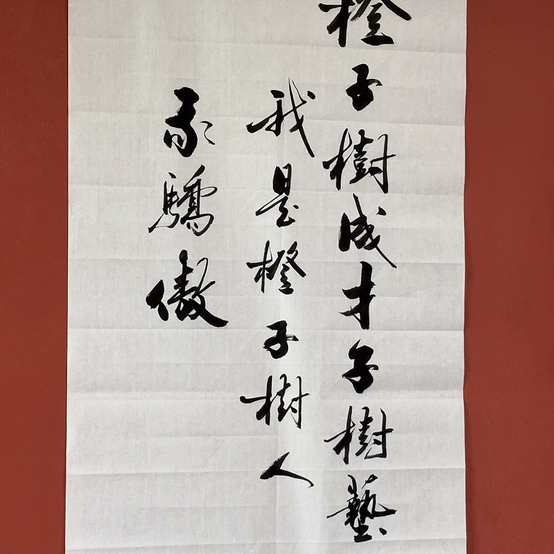 豆***士书法直播书法作品