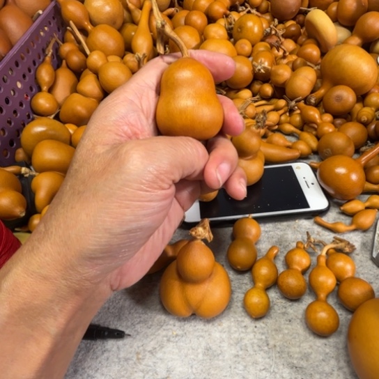 人***生人生的一把小胖墩儿葫芦胖墩葫芦