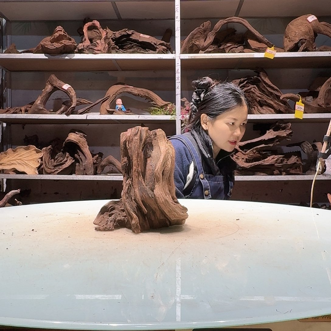 倍褚沉木不包损必褪色灬****↓6660