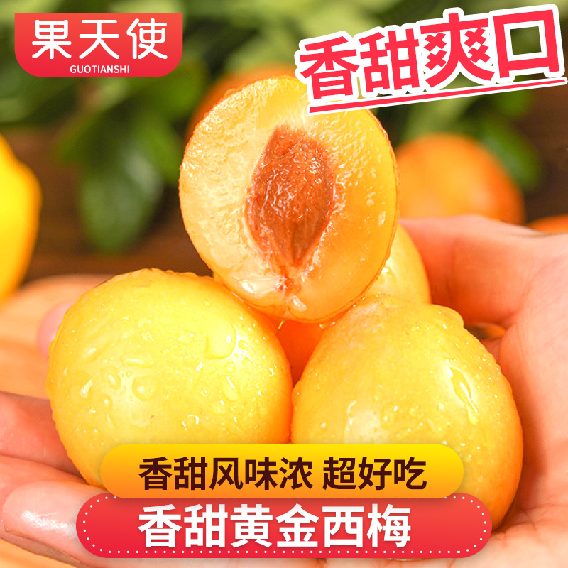【果天使】黄金西梅3-4斤香甜爽口风味浓郁新鲜应季水果西梅好吃