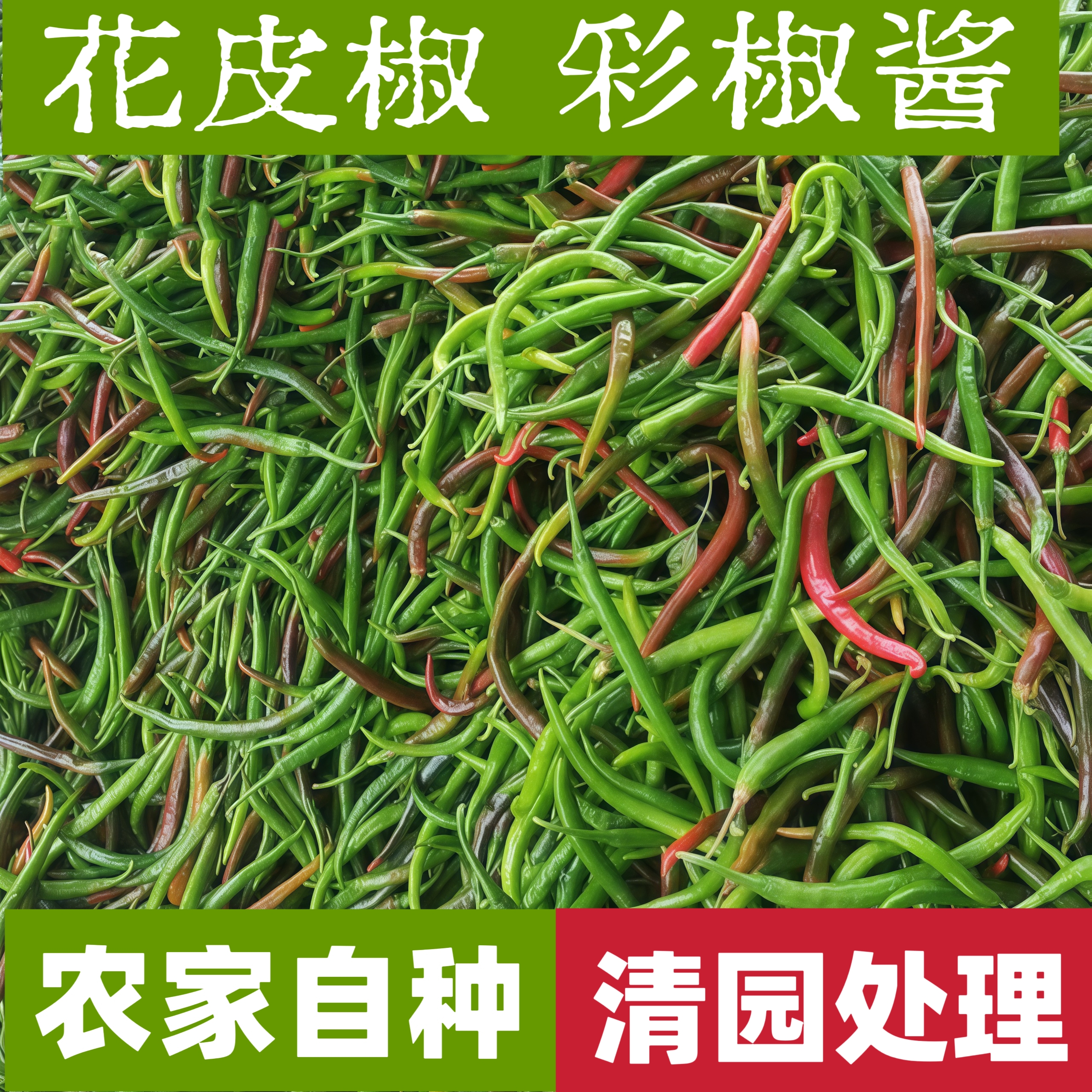 安徽本地二荆条薄皮中辣青紫红相间花线椒红头椒新鲜应季蔬菜处理