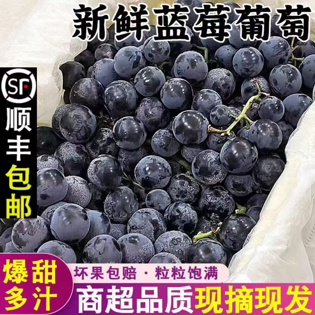 【顺丰包邮】新疆蓝莓葡萄3~3.5斤好吃脆甜可口新疆维吾尔自治区