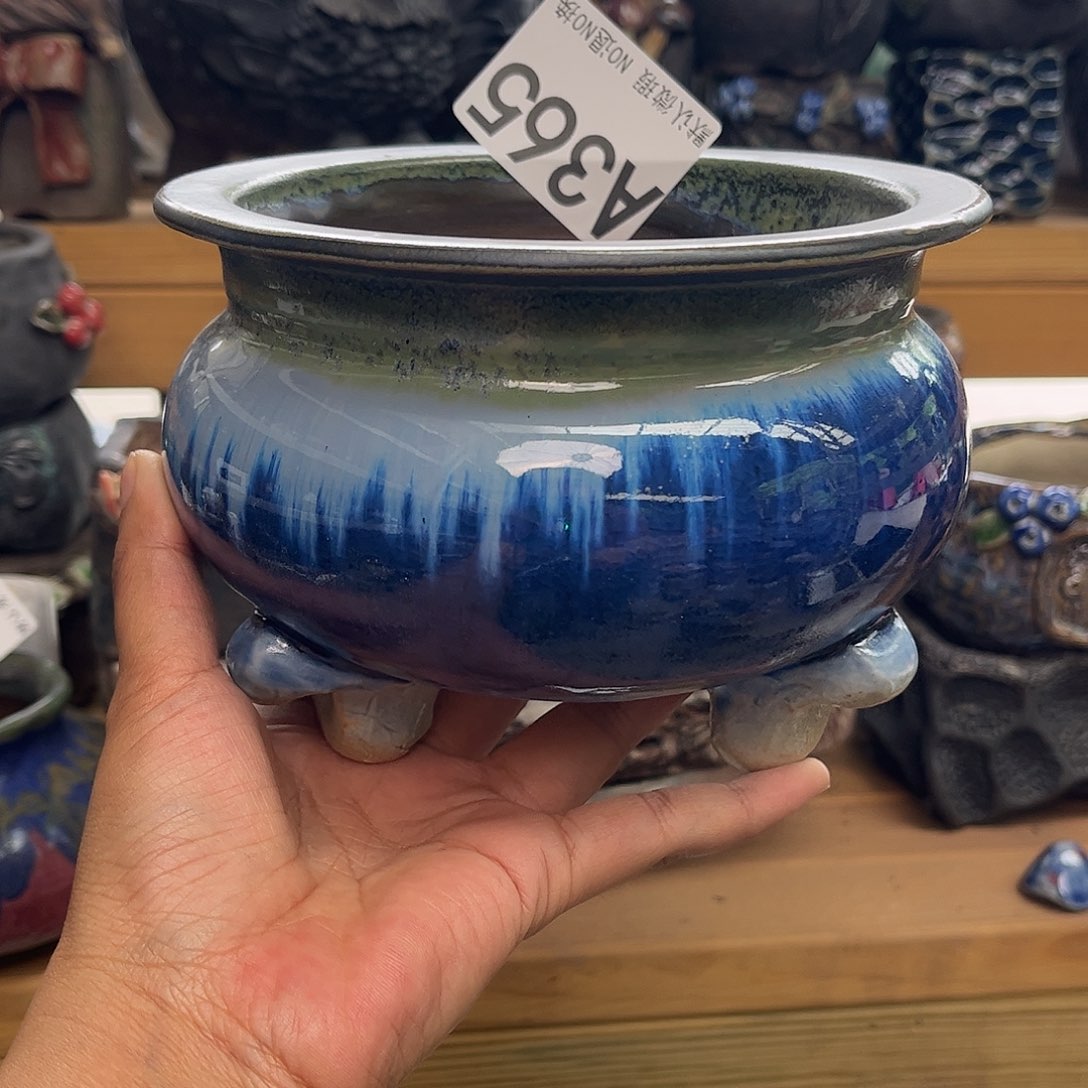 哈哈我想吃一颗草莓音乐节365