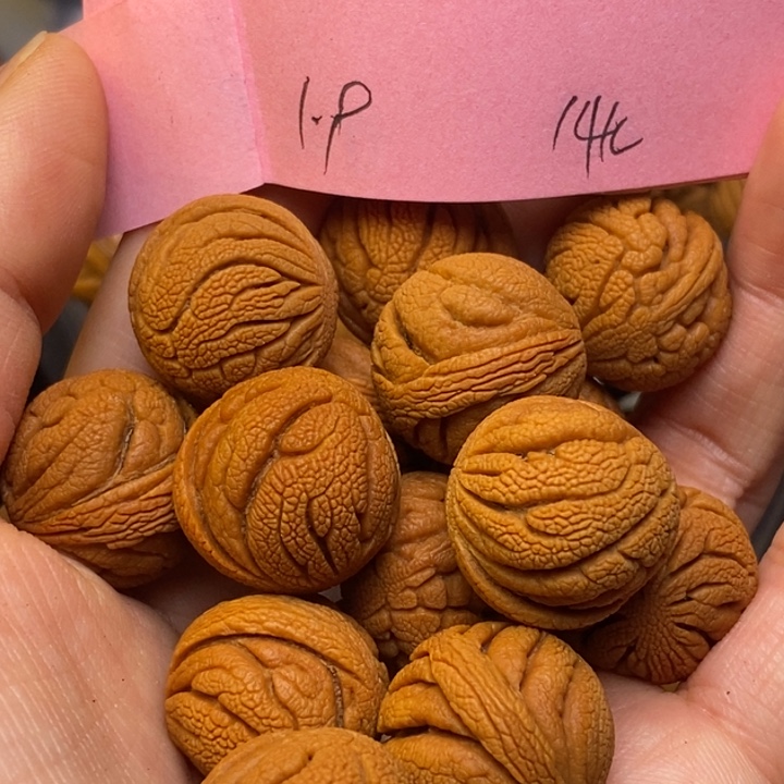 桃核吊坠秦岭龙纹桃核19尺寸