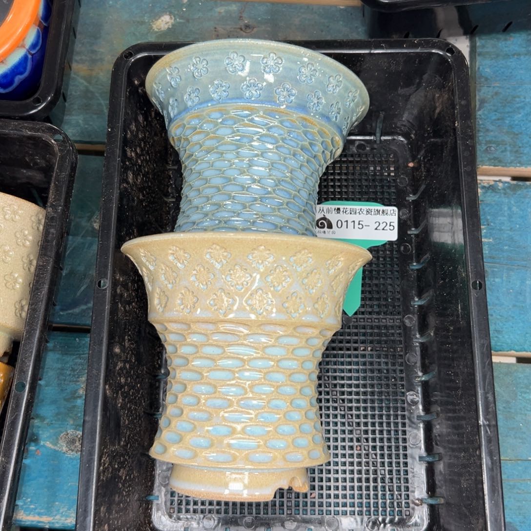 多肉精选编号0115.225