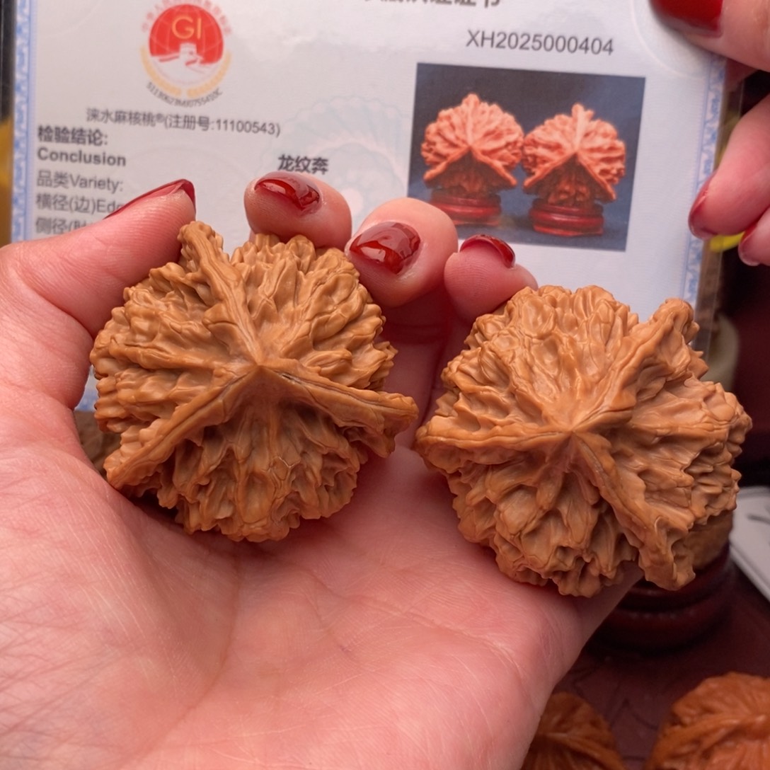 文玩核桃把件A***乐龙纹奔49