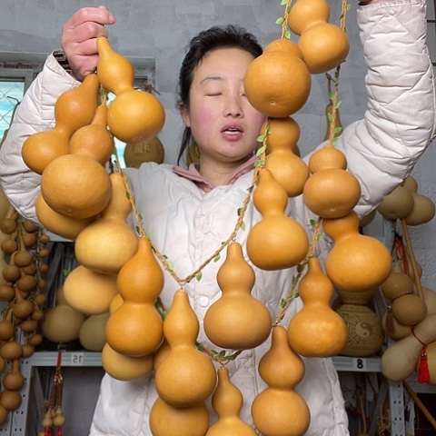 天然植物葫芦文玩