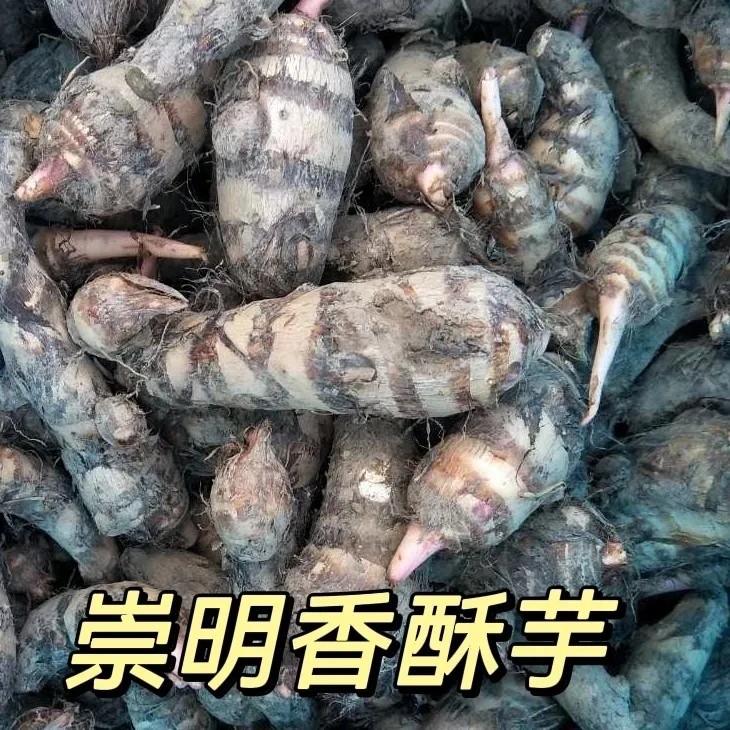 香酥芋艿 红芽芋头上海崇明农家自种新鲜香芋软糯易煮现挖发顺丰