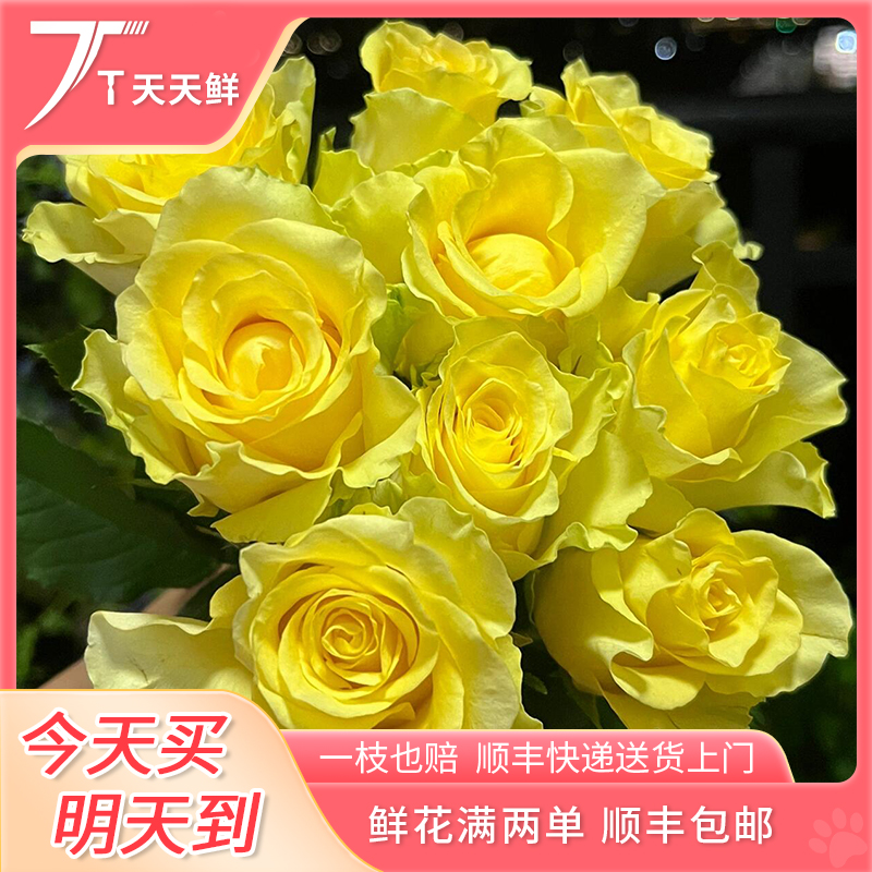 顺丰次日达【 18支 黄玫瑰 】鲜花任意两单顺丰送货上门