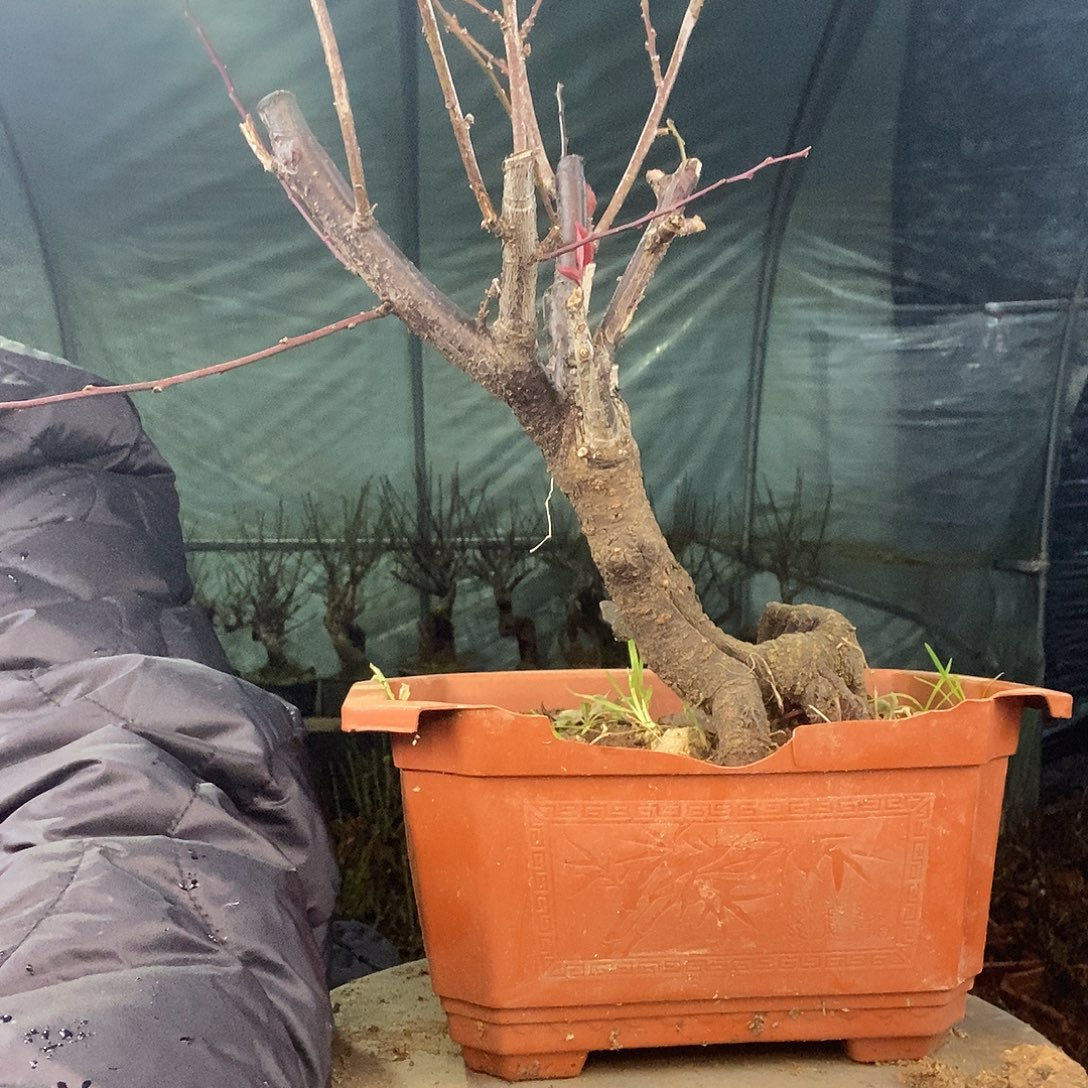 完全开放11111111