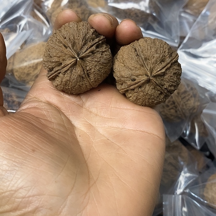 核桃云南铁核桃基地16