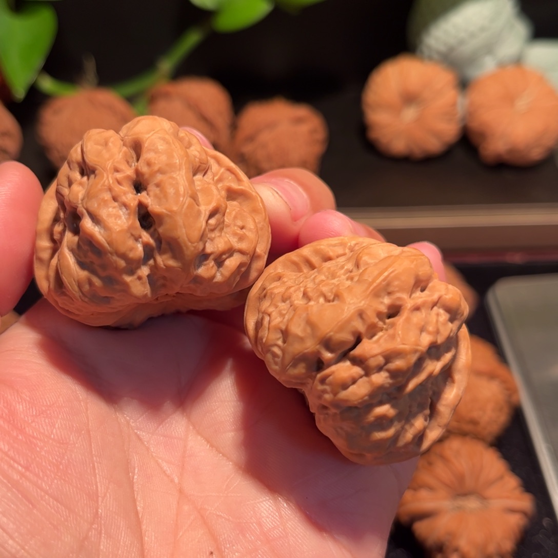 【闪购商品】文玩核桃把件42哈摸头