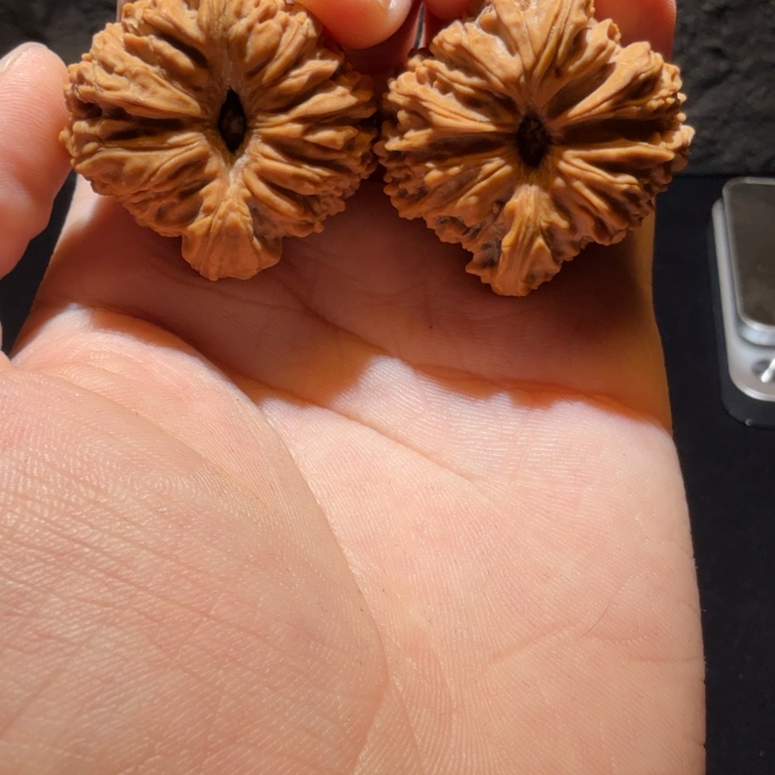 文玩核桃吊坠边37高40凹底高炮